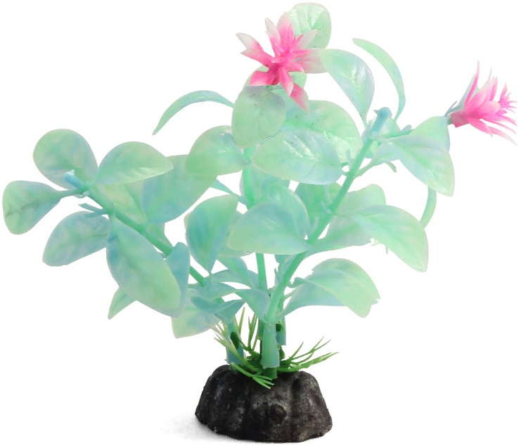 Растение светящееся "Ротала" зеленая, 100мм