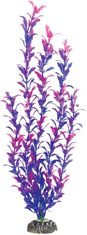 Растение "Людвигия фиолетовая", 400мм