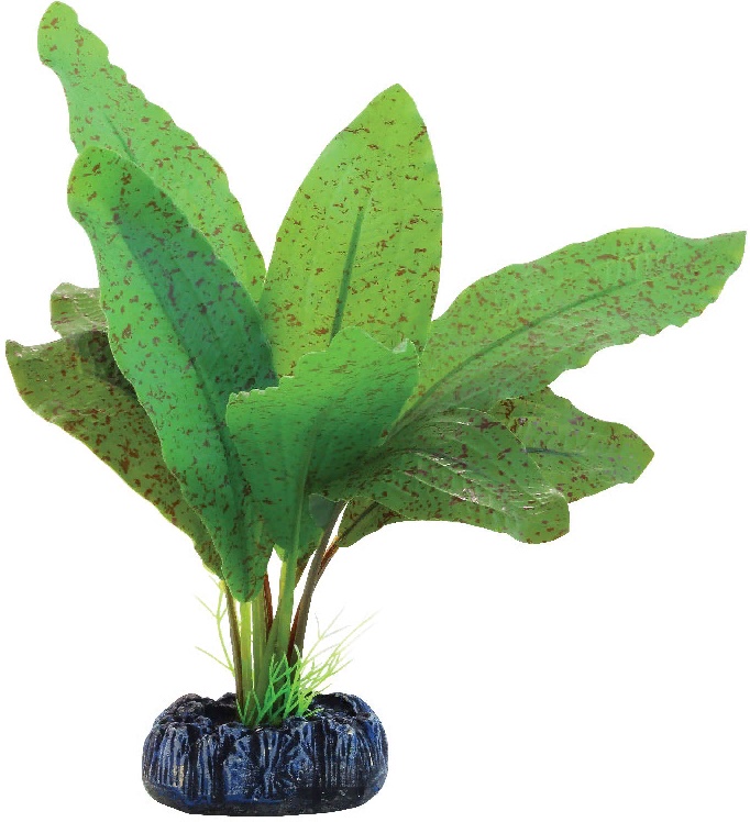 Растение шелковое "Эхинодорус крапчатый", 130мм