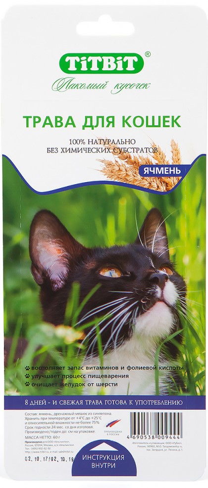 Трава для кошек ячмень
