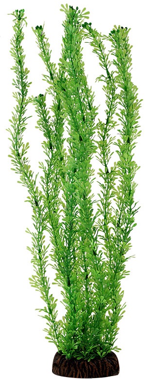 Растение 13138 "Лигодиум" зеленый, 100мм